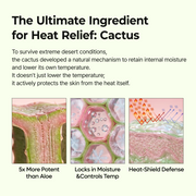 Cactox Pore Relief Multi Balm detail 6