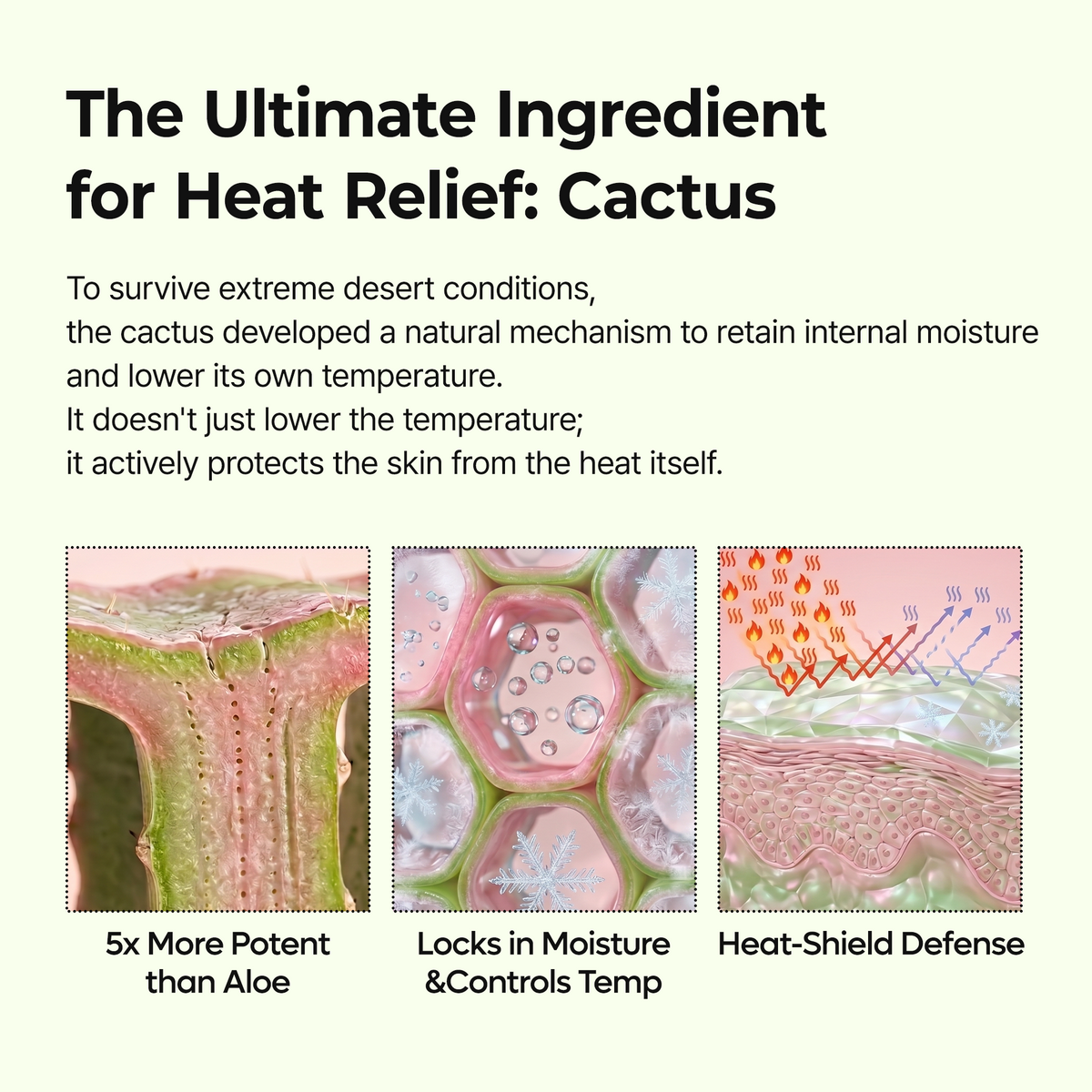 Cactox Pore Relief Multi Balm detail 6