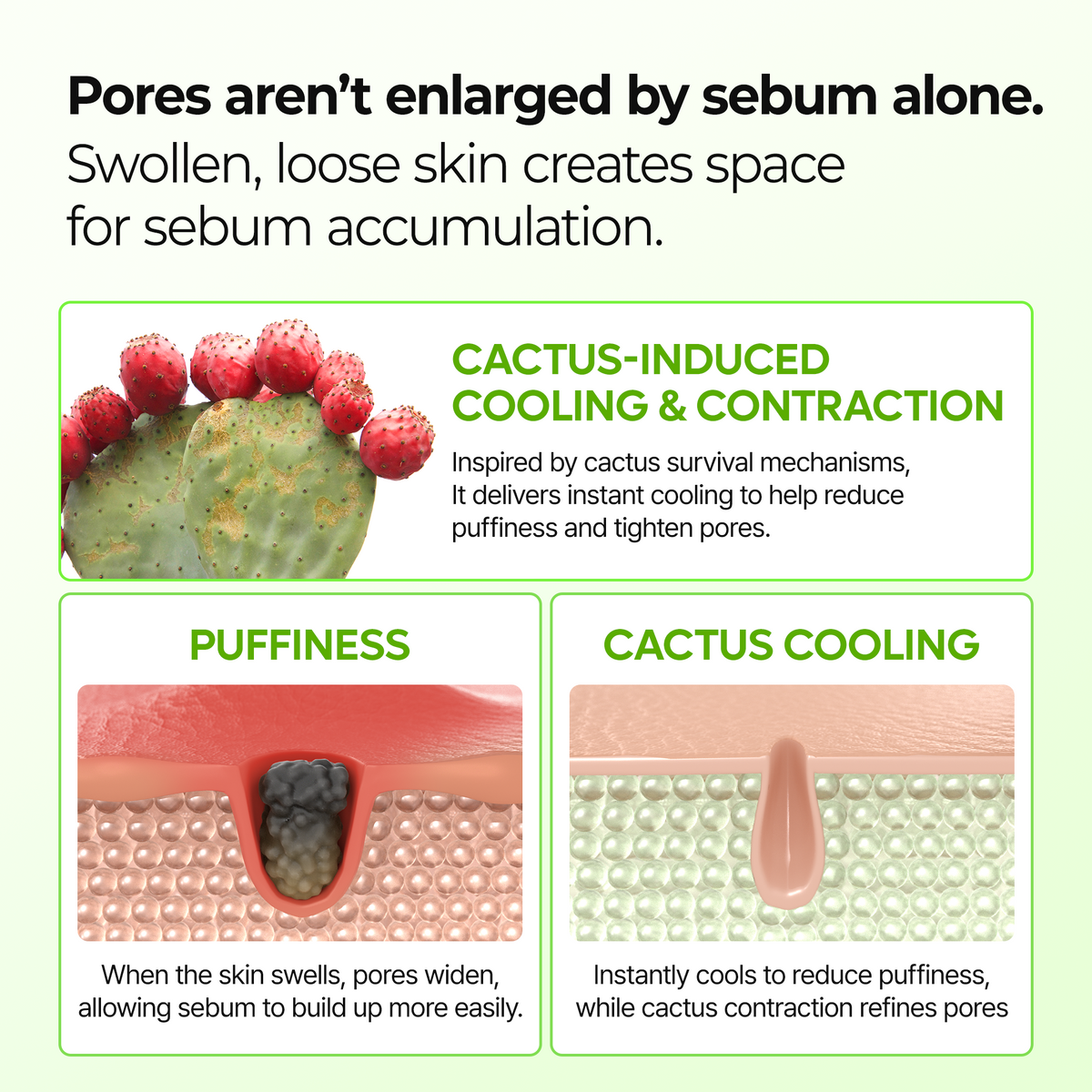 Cactox & Collagen Multi Pore Firming Balm Duo detail 3
